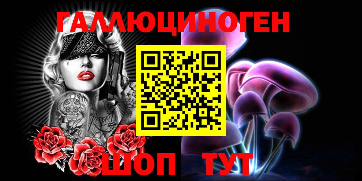 Псилоцибиновые грибы Psilocybine cubensis Ефремов